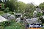 Rock Gardens . . . CLICK TO ENLARGE