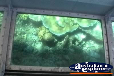 Glass Bottom Boat . . . CLICK TO VIEW ALL CORAL (MORE TWO) POSTCARDS