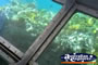 Glass Bottom Boat And Water . . . CLICK TO ENLARGE