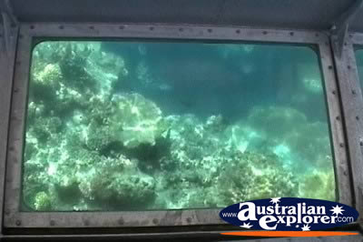 Glass Bottom Boat Underwater View . . . CLICK TO VIEW ALL CORAL (MORE TWO) POSTCARDS