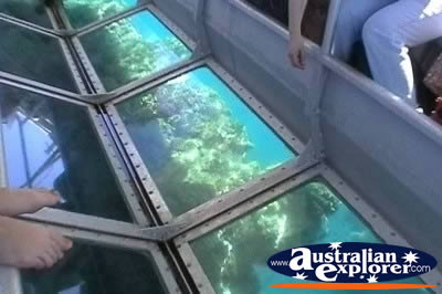 Plant Life Through Glass Bottom Boat . . . CLICK TO VIEW ALL CORAL (MORE TWO) POSTCARDS