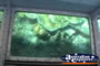Glass Bottom Boat . . . CLICK TO ENLARGE