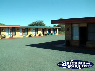 Cameo Inn at West Wyalong . . . CLICK TO VIEW ALL WEST WYALONG POSTCARDS
