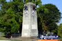 Taree . . . CLICK TO ENLARGE