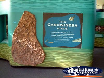 Canowindra, Age O Fishes Museum Story Sign . . . CLICK TO VIEW ALL CANOWINDRA AGE O FISHES MUSEUM POSTCARDS