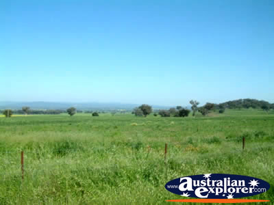 Grenfell to Canowindra . . . VIEW ALL CANOWINDRA PHOTOGRAPHS
