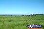 Grenfell to Canowindra . . . CLICK TO ENLARGE