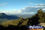 Trees on the Dorrigo Lookout . . . CLICK TO ENLARGE