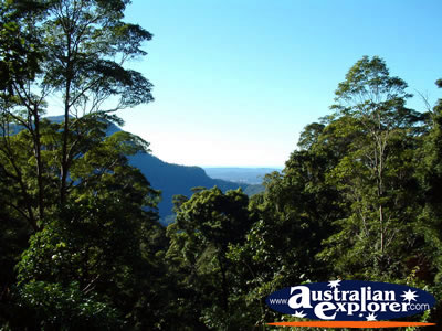 Dorrigo, View from Lookout . . . VIEW ALL DORRIGO PHOTOGRAPHS