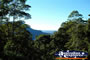 Dorrigo, View from Lookout . . . CLICK TO ENLARGE