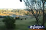 Dorrigo, View from Tallawalla Retreat . . . CLICK TO ENLARGE