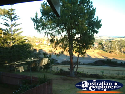 Dorrigo, View from Tallawalla Retreat . . . CLICK TO VIEW ALL DORRIGO POSTCARDS