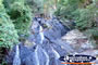 Dorrigo Waterfall . . . CLICK TO ENLARGE