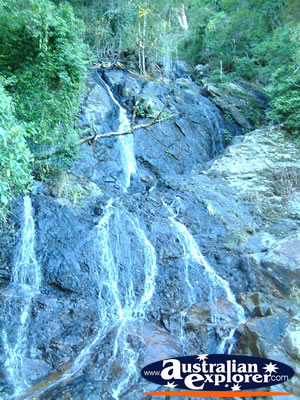 Dorrigo Waterfall on Roadside . . . VIEW ALL DORRIGO PHOTOGRAPHS