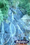 Dorrigo Waterfall on Roadside . . . CLICK TO ENLARGE