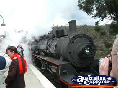 Front View of the Zig Zag Railway Engine . . . VIEW ALL LITHGOW PHOTOGRAPHS