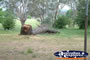 Tumut Go Cup School Grounds . . . CLICK TO ENLARGE