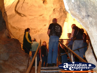 Tour of the Wellington Caves . . . CLICK TO VIEW ALL WELLINGTON CAVES POSTCARDS