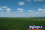 Shot of the Countryside between Young and Boorowa . . . CLICK TO ENLARGE