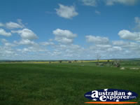 Shot of the Countryside between Young and Boorowa . . . CLICK TO ENLARGE