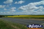 Road between Young and Boorowa . . . CLICK TO ENLARGE