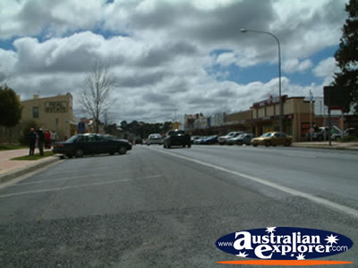 Blayney Street . . . CLICK TO VIEW ALL BLAYNEY POSTCARDS