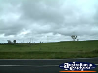 Crookwell Windmill Farm . . . CLICK TO ENLARGE