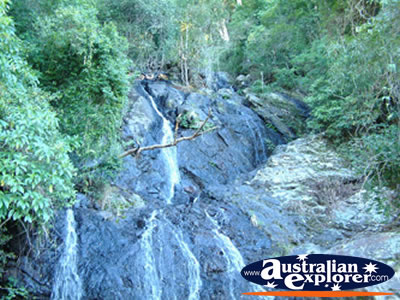 Waterfall on the Side of the Road . . . VIEW ALL DORRIGO PHOTOGRAPHS