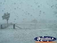 View of the Snow Storm Barrington Tops . . . CLICK TO ENLARGE