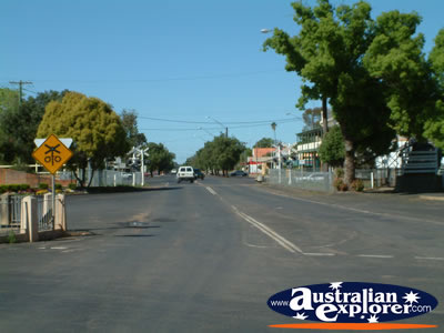 Narromine Street . . . CLICK TO VIEW ALL NARROMINE POSTCARDS