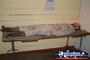 Uralla Museum Fake Person Lying Down . . . CLICK TO ENLARGE