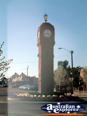Mudgee Town Clock . . . CLICK TO VIEW ALL MUDGEE POSTCARDS