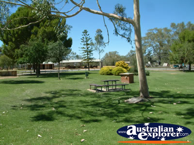 Wentworth Park Picnic Spot . . . CLICK TO VIEW ALL WENTWORTH POSTCARDS