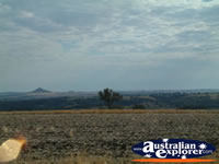 Another View Between Inverell & Warialda . . . CLICK TO ENLARGE