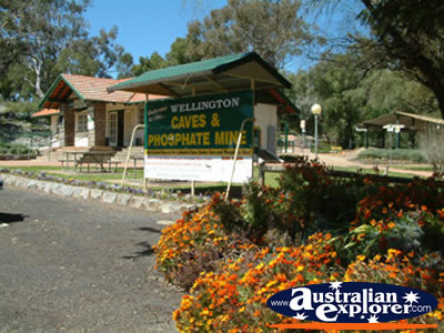 Wellington Caves Kiosk . . . CLICK TO VIEW ALL WELLINGTON CAVES POSTCARDS