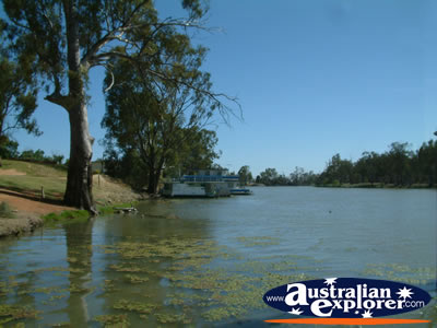 Euston River in NSW . . . CLICK TO VIEW ALL EUSTON POSTCARDS