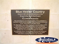 Muswellbrook Is Blue Heeler Country . . . CLICK TO ENLARGE