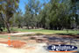 Lovely Park at Balranald Caravan Park . . . CLICK TO ENLARGE