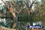 Hay, Felicity Guest House Trees and Lake
