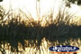 Hay, Felicity Guest House Sunrise
