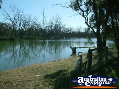 Hay, Felicity Guest House Lake View . . . CLICK TO VIEW ALL HAY POSTCARDS