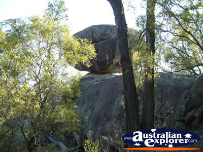 Warialda Cranky Rock View . . . CLICK TO VIEW ALL WARIALDA POSTCARDS