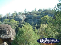 View from Warialda Cranky Rock . . . CLICK TO ENLARGE