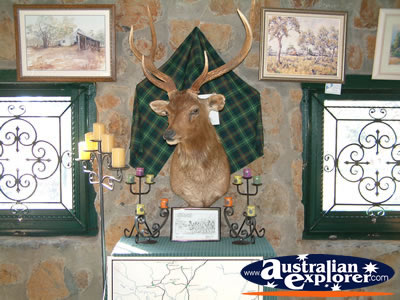 Glen Innes, Celtic Country . . . VIEW ALL GLEN INNES PHOTOGRAPHS