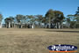 Glen Innes, Celtic Country . . . CLICK TO ENLARGE