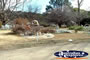 Glen Innes, Close by The Caravan Park . . . CLICK TO ENLARGE