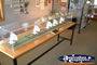 Australian Telescope Display . . . CLICK TO ENLARGE