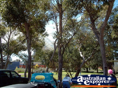 Parkes Telescope from a Distance . . . CLICK TO VIEW ALL PARKES POSTCARDS