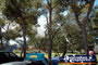 Parkes Telescope from a Distance . . . CLICK TO ENLARGE