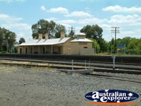 Culcairn Railway Station . . . CLICK TO ENLARGE